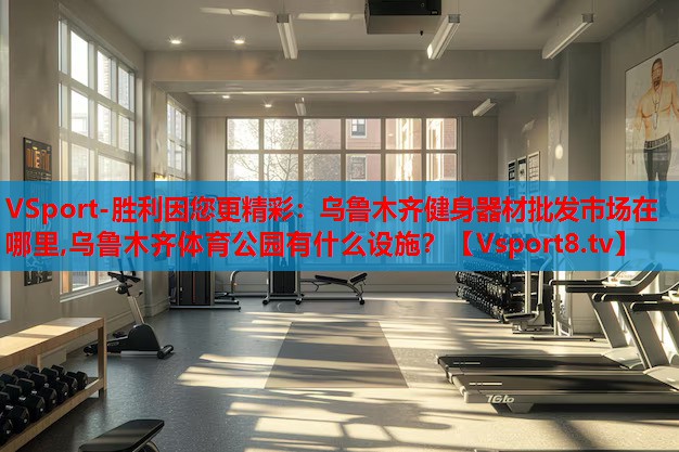 VSport-勝利因您更精彩：烏魯木齊健身器材批發(fā)市場在哪里,烏魯木齊體育公園有什么設(shè)施？